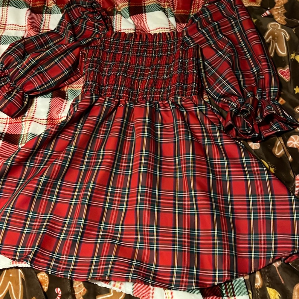 Francesca’s boutique (blue rain brand) plaid holiday dress women’s size S
